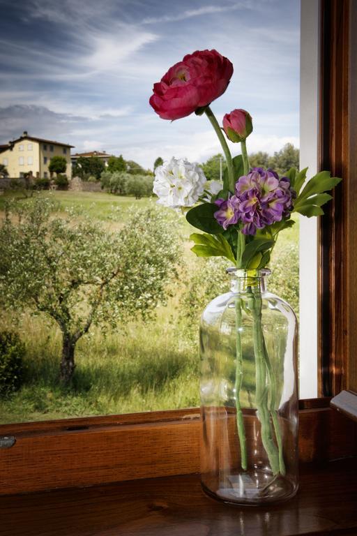 Agriturismo Ai Linchi Lucca Exteriér fotografie