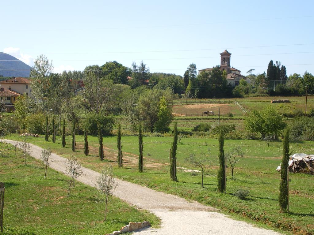Agriturismo Ai Linchi Lucca Exteriér fotografie